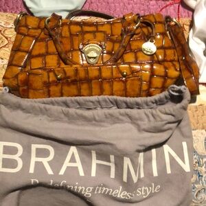 Brahmin purse used one time